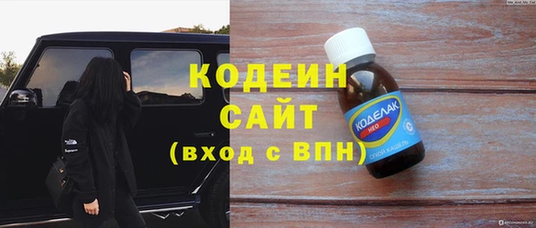 индика Костерёво