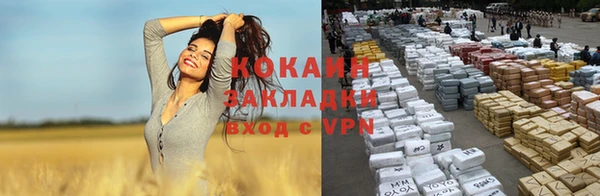 индика Костерёво