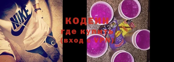 индика Костерёво