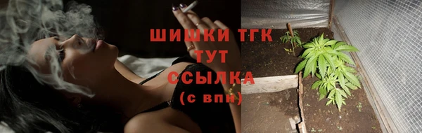 трава Кодинск