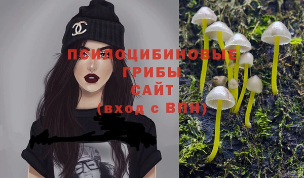 mdpv Козельск