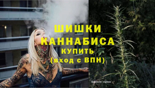 трава Козловка
