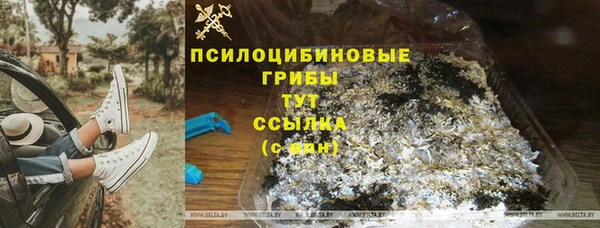mdpv Козельск