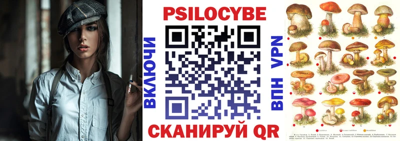 Псилоцибиновые грибы Psilocybe  купить   Называевск 