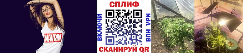 Марихуана гибрид  площадка наркотические препараты  Называевск 